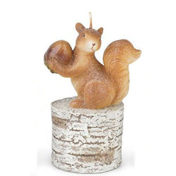 Bougie - Écureuil